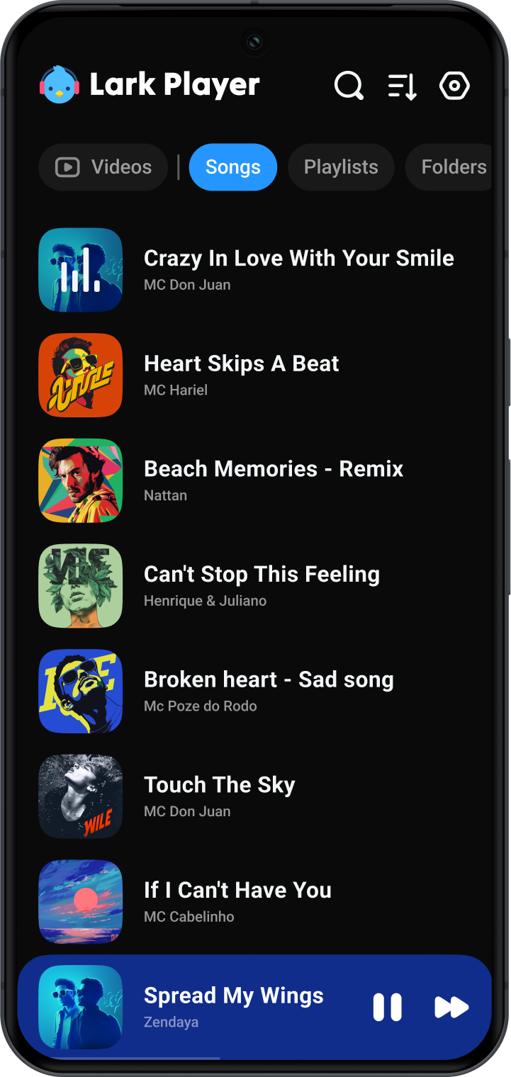 Lark Player:Music Player & MP3 — 1